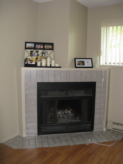 fire place.JPG