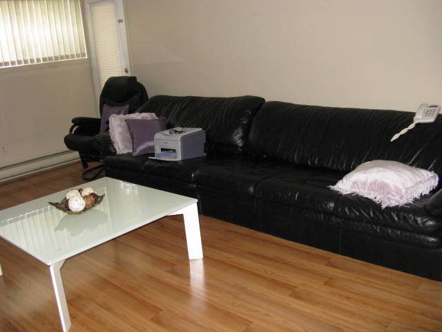 living area.JPG