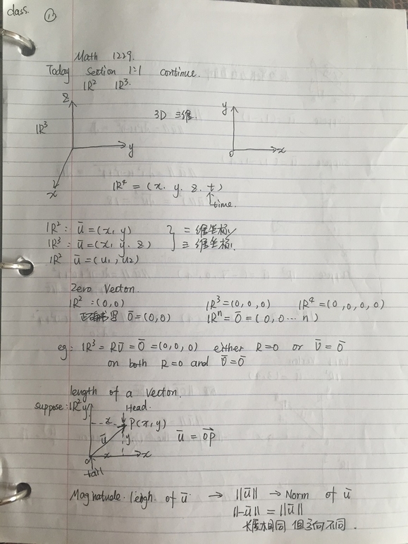 Math1229 笔记.jpg